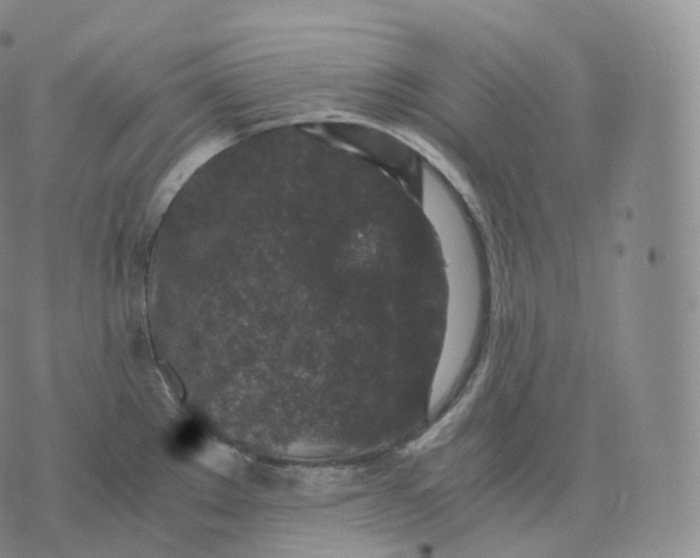 X0000076071289200610152218