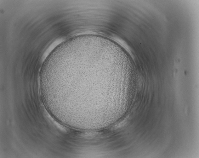 X0000076071290200610152218