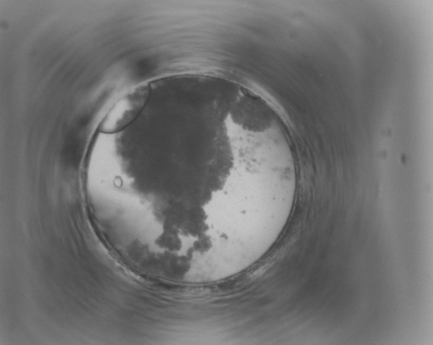 X0000076071291200610152218