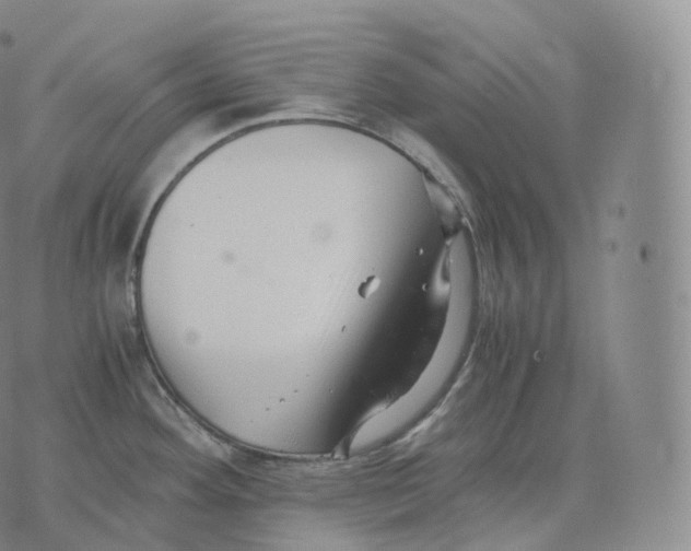 X0000076071292200610152218