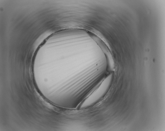 X0000076071293200610152218