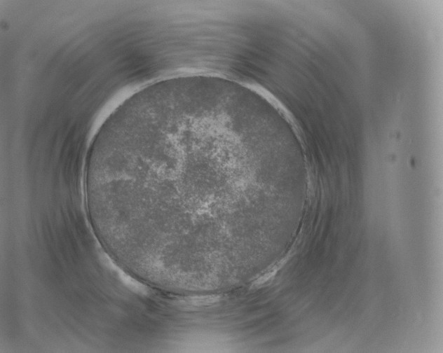 X0000076071294200610152218