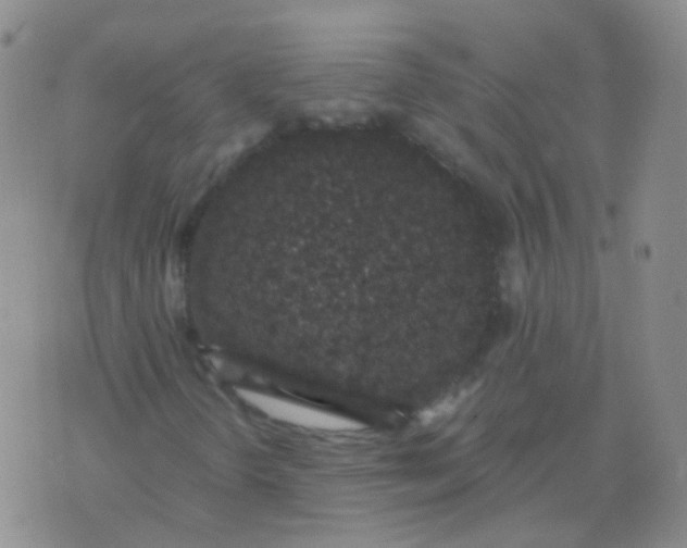 X0000076071298200610152217