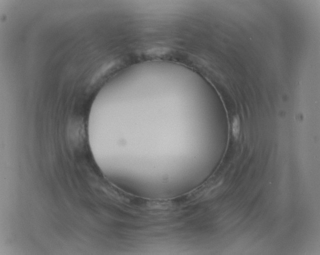 X0000076071299200610152217