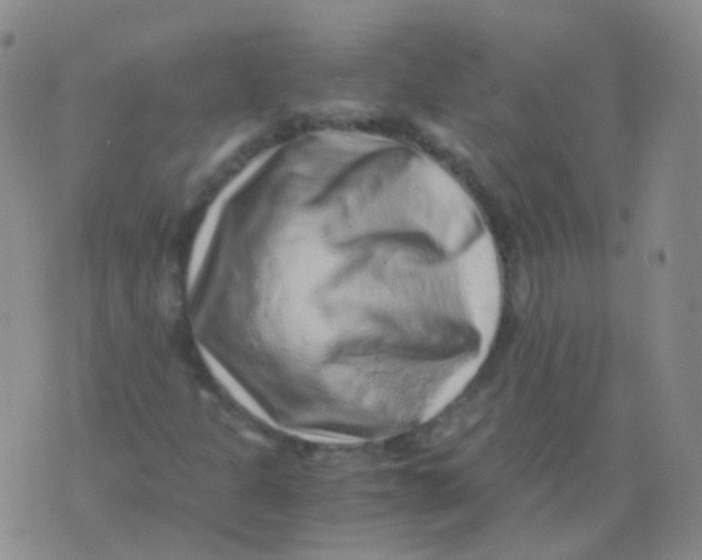 X0000076071301200610152217