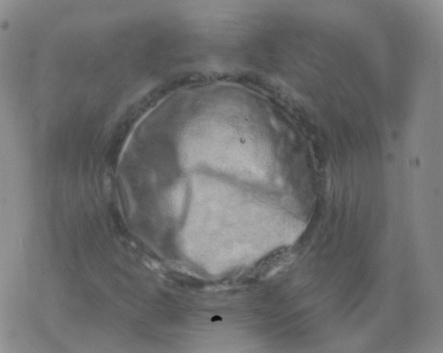 X0000076071302200610152217