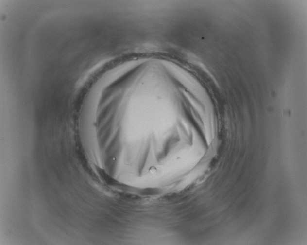 X0000076071304200610152217