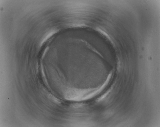 X0000076071306200610152217