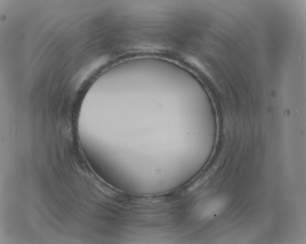 X0000076071307200610152217