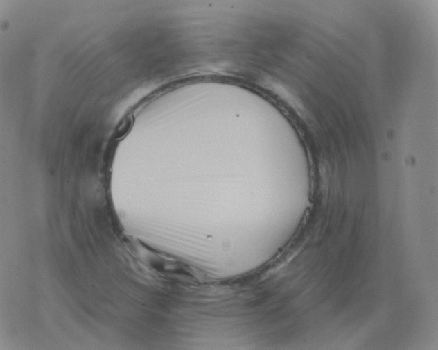 X0000076071308200610152217