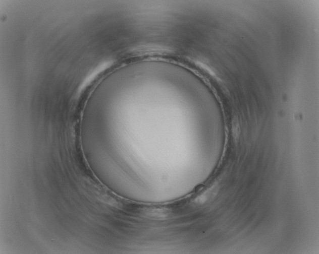 X0000076071309200610152217