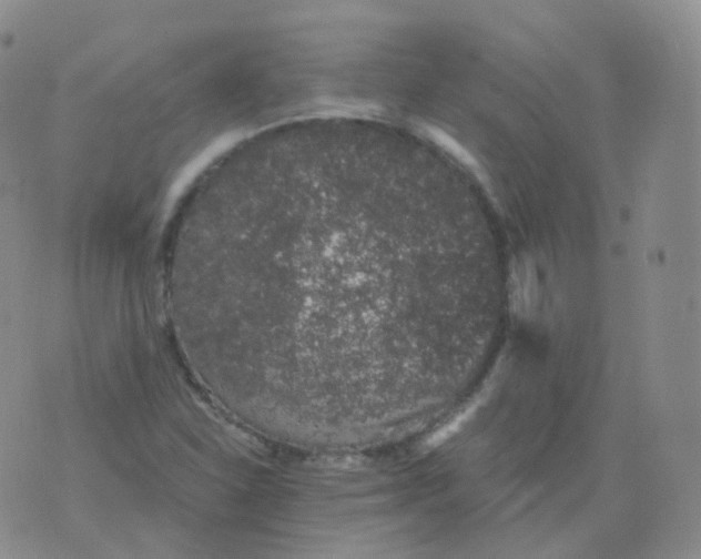 X0000076071310200610152217