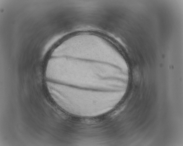 X0000076071311200610152217