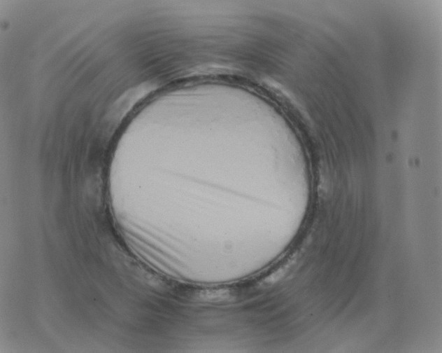 X0000076071313200610152218