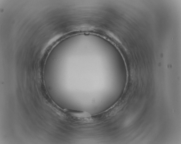 X0000076071315200610152218