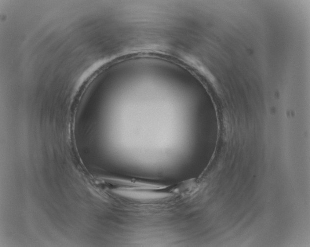 X0000076071316200610152218