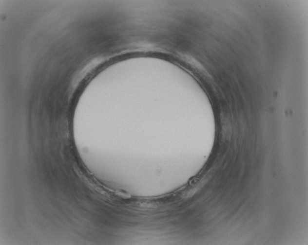 X0000076071318200610152218