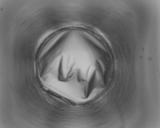 X0000076071320200610152218