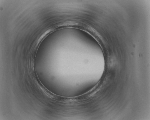 X0000076071321200610152218