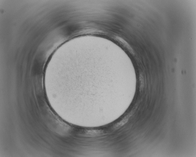 X0000076071322200610152218