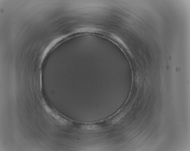 X0000076071323200610152218