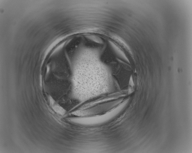 X0000076071324200610152218