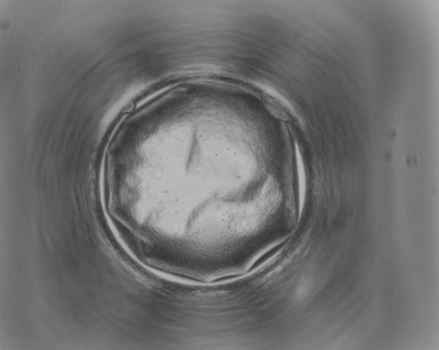 X0000076071325200610152218