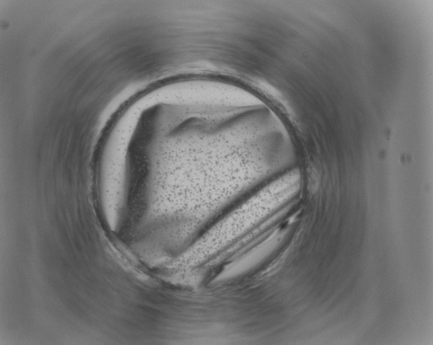 X0000076071326200610152218