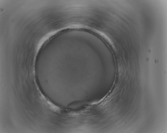 X0000076071327200610152218