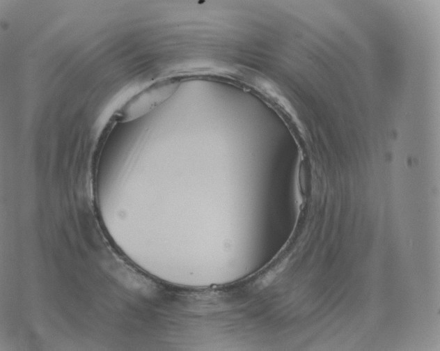 X0000076071328200610152218