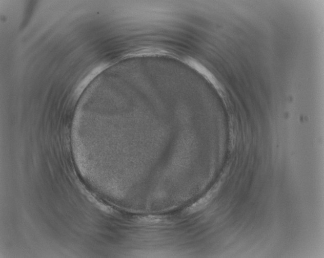 X0000076071329200610152218