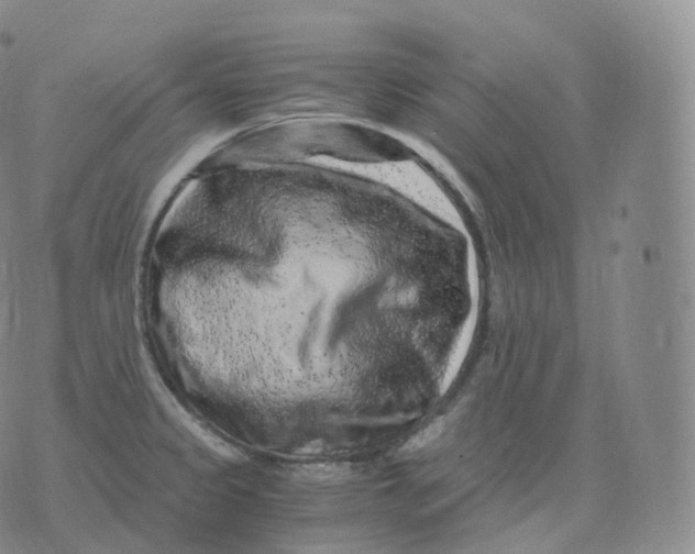 X0000076071333200610152218