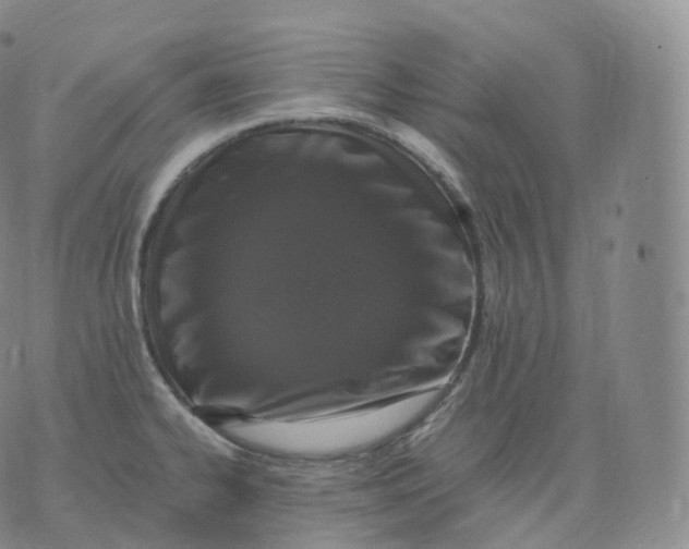 X0000076071334200610152218