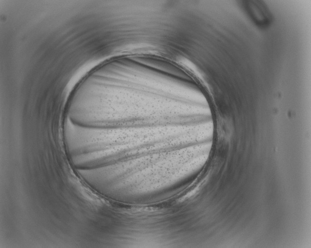 X0000076071336200610152218