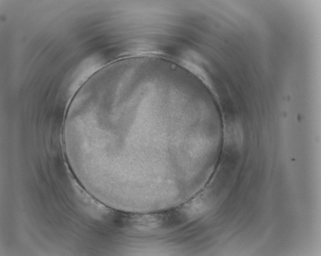 X0000076071338200610152218