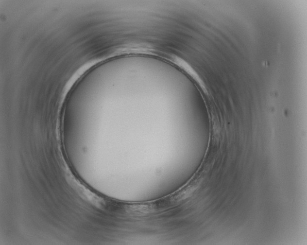 X0000076071339200610152218