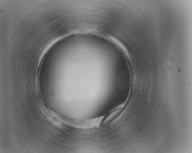 X0000076071340200610152218