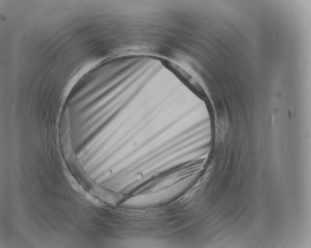 X0000076071341200610152218