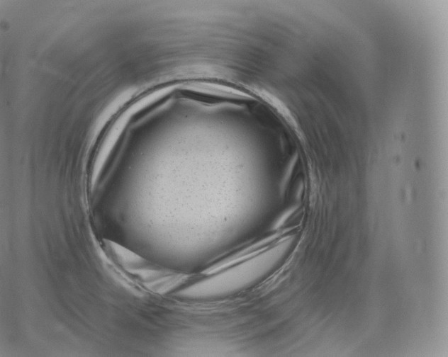 X0000076071342200610152218