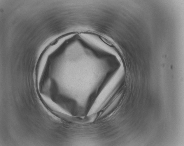 X0000076071343200610152218