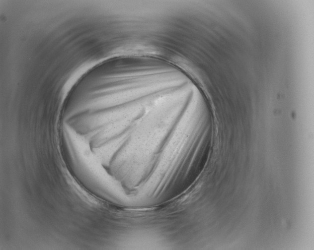 X0000076071344200610152218