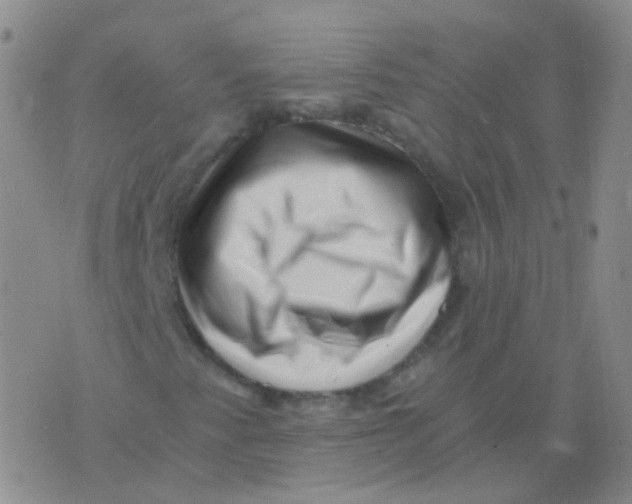 X0000076071345200610152217