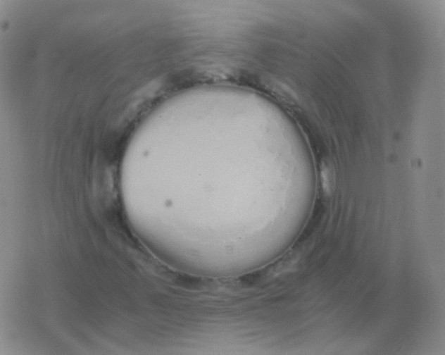 X0000076071347200610152217