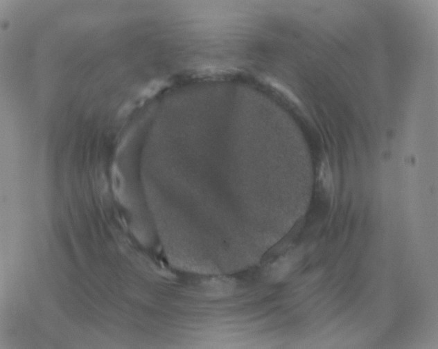 X0000076071348200610152217