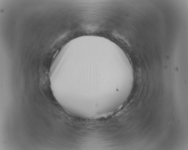 X0000076071349200610152217