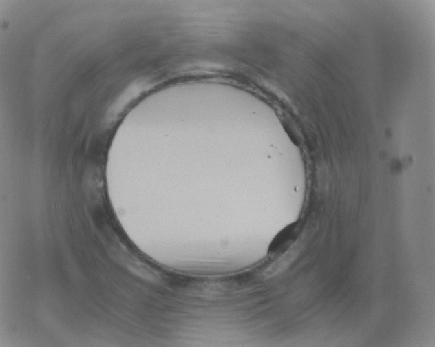 X0000076071355200610152217