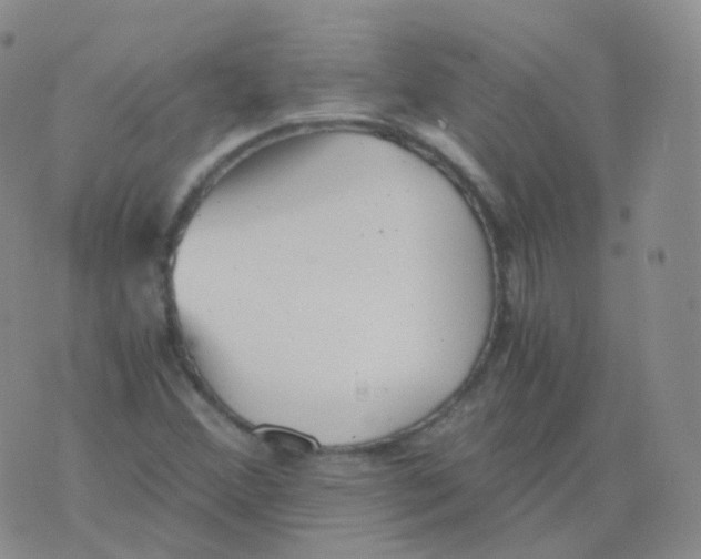 X0000076071356200610152217