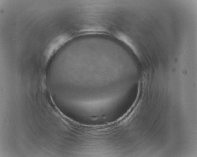 X0000076071357200610152217