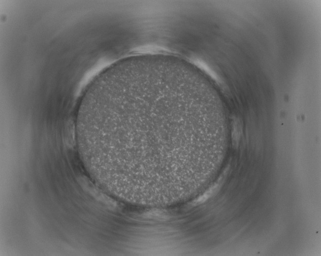 X0000076071358200610152217