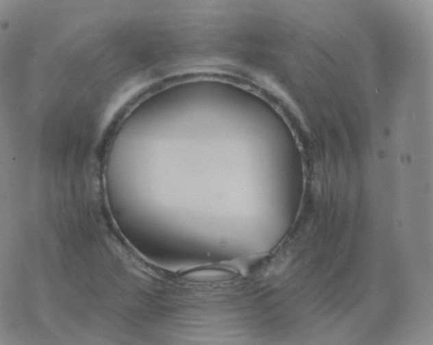 X0000076071360200610152217